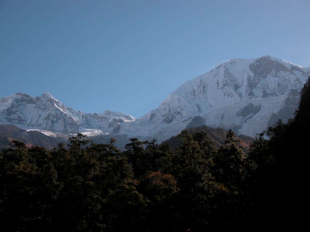 Manaslu 10 01 Manaslu North Fom Beyond Bimtang The boys had some rakshi last night, and sang and danced til 11. We got up a little later this morning, and I left at 7:30. As I looked back, I could see the glistening snow on the west face of Manaslu North, and the Manaslu ridge.